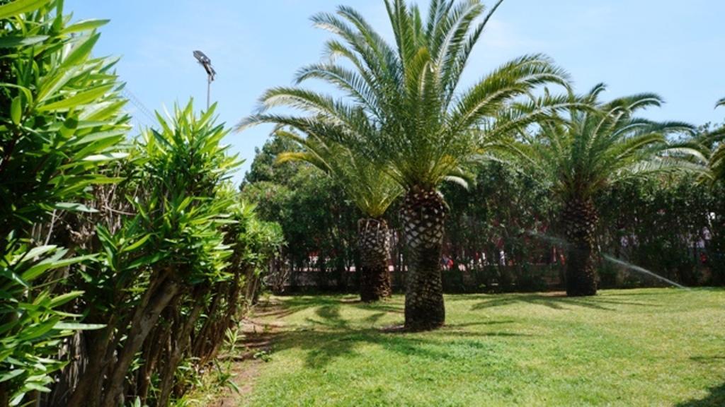 Appartamento Patio Andaluz Dénia Esterno foto